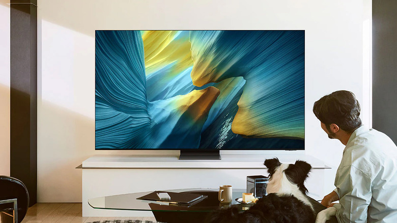 Man and a dog watching TV