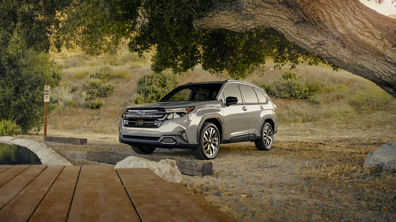 A 2025 Subaru Forester parked near water, hill, and a tree