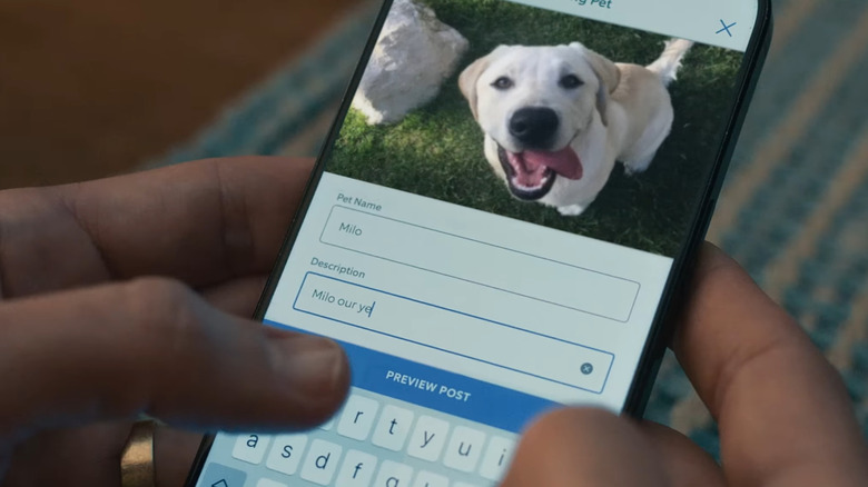 Person using Ring Search Party app to post about their lost dog