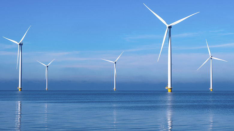 An offshore wind farm in the Netherlands.