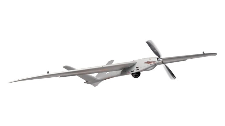 A mini shark UAS
